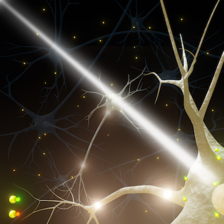 Las nanopartículas de oro se adhieren a las neuronas para obtener información. 