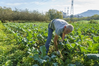Karabeleko elkartean hamabi lagun ari dira lanean eta beste zortzi terapia okupazionala hartzera joaten dira. Gorka RUBIO | FOKU