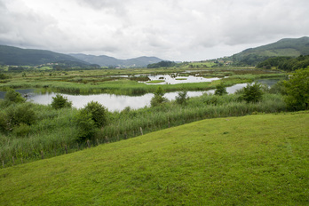 Urdaibai giza kontsumorako ura hobetzeko Europako laborategia izango da. (Marisol RAMIREZ / FOKU)