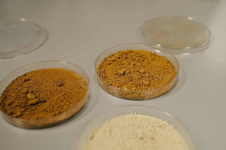 Laborategiko kafea sortu du VTT laborategi finlandiarrak. (Alessandro RAMPAZZO / AFP) 