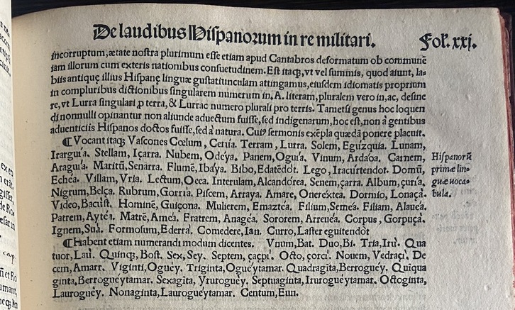 Términos en euskara que aparecen en la obra de 1533 adquirida por Mintzoa, las primeras impresas de la historia. (NAIZ)