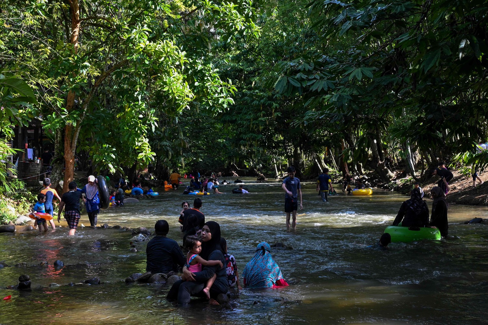 Seg&uacute;n Malasia, sus bosques &ndash;en la imagen&ndash; capturan cuatro veces m&aacute;s carbono di&oacute;xido que su vecina Indonesia. (Mohd RASFAN/AFP)