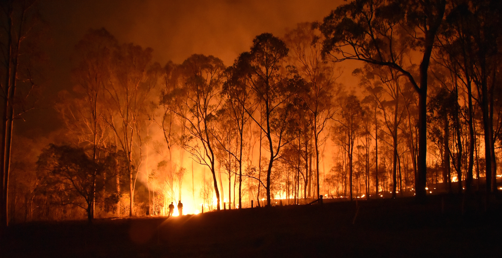 Fuego en Australia, pa&iacute;s que no contabiliza el carbono dioxido emitido en sus cada vez m&aacute;s frecuentes incendios. (GETTY IMAGES)