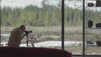Observando la vida de los árboles en los bosques alemanes. (NAIZ)