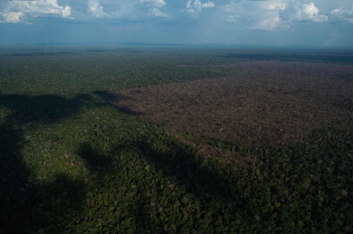 Vista aérea de una zona deforestada en la Amazonía brasileña. (Mauro PIMENTEL/AFP)