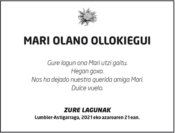 P017_01_01_zer_20211121