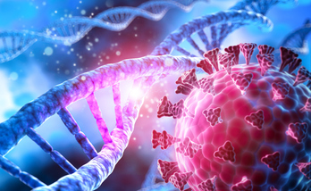 La nueva cepa proviene de un linaje distinto a Delta que en Euskal Herria y había desaparecido. (GETTY)