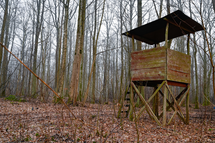 Imagen de archivo de una torre de caza en un bosque. (Getty)