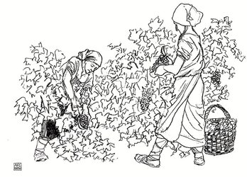 Ilustrazioak: Mintxo Cemillan