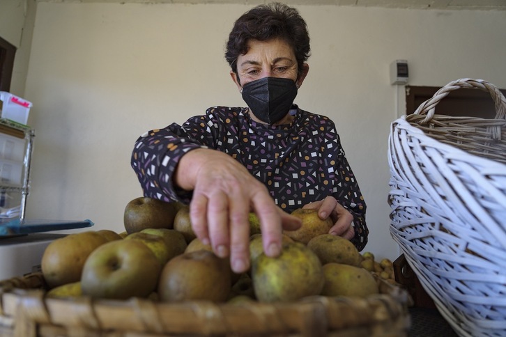 Itziar Etxebarria prepara un cesto de manzanas. Aritz LOIOLA | FOKU