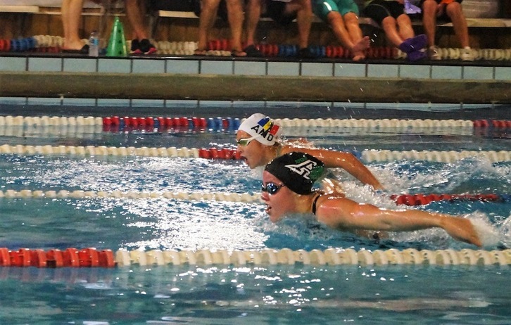 Espectaculo de natación en las piscinas de Majori.