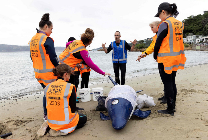 Un grupo de voluntarios aprenden con la réplica de ballena. 