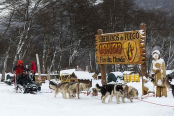 Los 150 perros salen a diario de su cabaña, en Ushuaia.