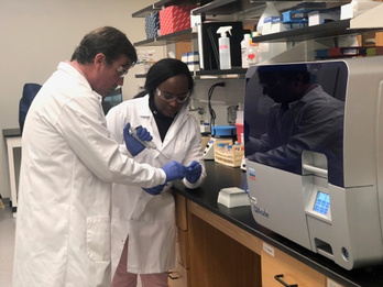 Investigadores de la Universidad del Sur de Florida.