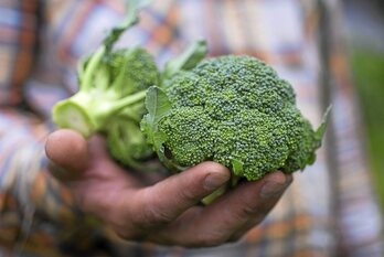 gara-2022-01-14-Noticia