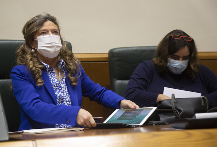 Sagardui, en su comparecencia parlamentaria de este lunes.