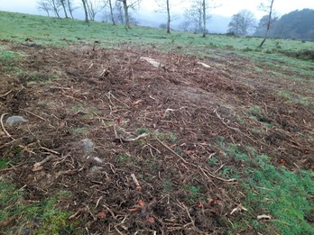 Gipuzkoako Foru Aldundiak Jaizkibel mendian egindako lanek «triskantza» eragin dutela salatu du Abotsanitzek. 
