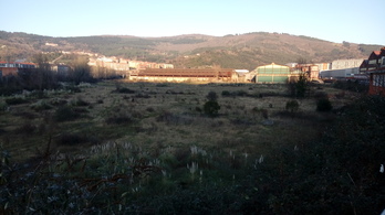 Los terrenos de La Basconia, a orillas del Ibaizabal, representan uno de los pocos espacios libres en un municipio densamente poblado como es Basauri.   