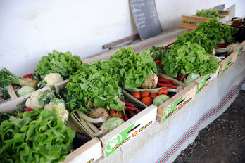 Les Ama permettent de se fournir en favorisant les circuits courts. © Gaizka IROZ