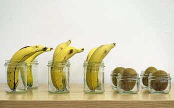 gara-2022-02-04-Reportaje