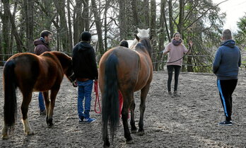 Mathilde Bordenave et élodie Novella proposent à divers publics des accompagnements d’équithérapie.