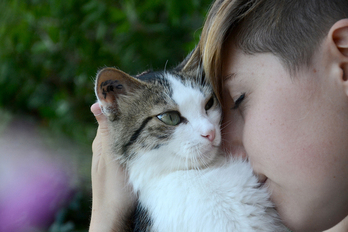 La SPA a annoncé début 2022 que 7 202 animaux attendent un nouveau maître dans ses 62 sites. © Crétinon/Txakurrak