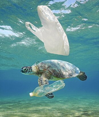 gara-2022-02-17-Reportaje