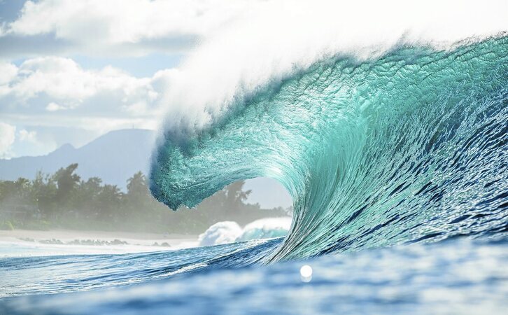 Argazkia: Worldsurfleague.com