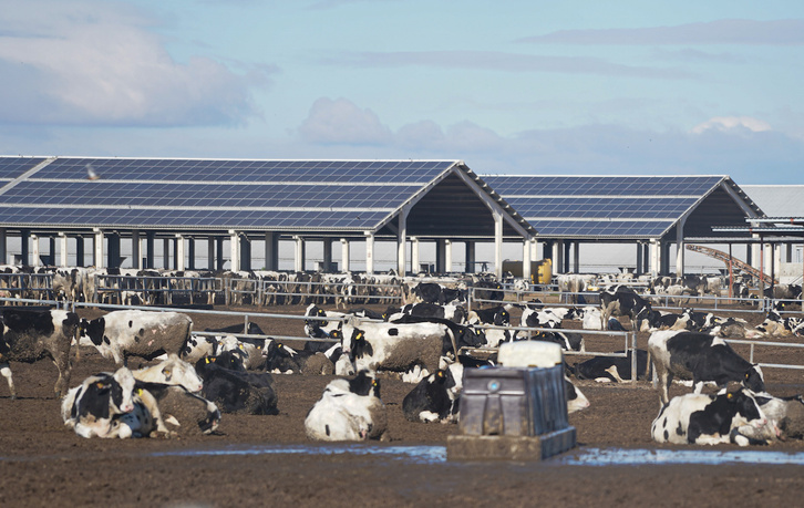 Instalaciones de Valle de Odieta en Caparroso.