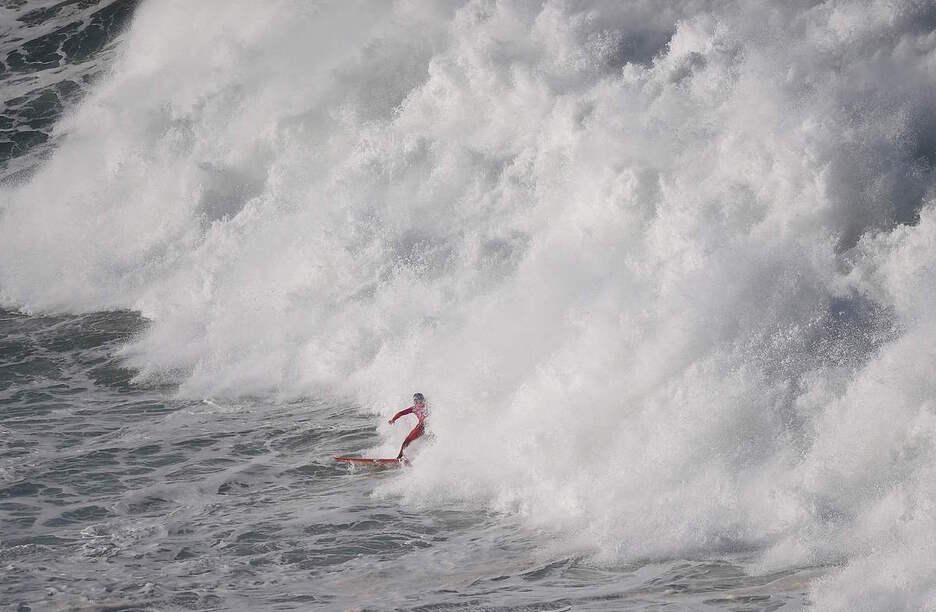 Parte hartzaile bat, olatu batetik irten berria.