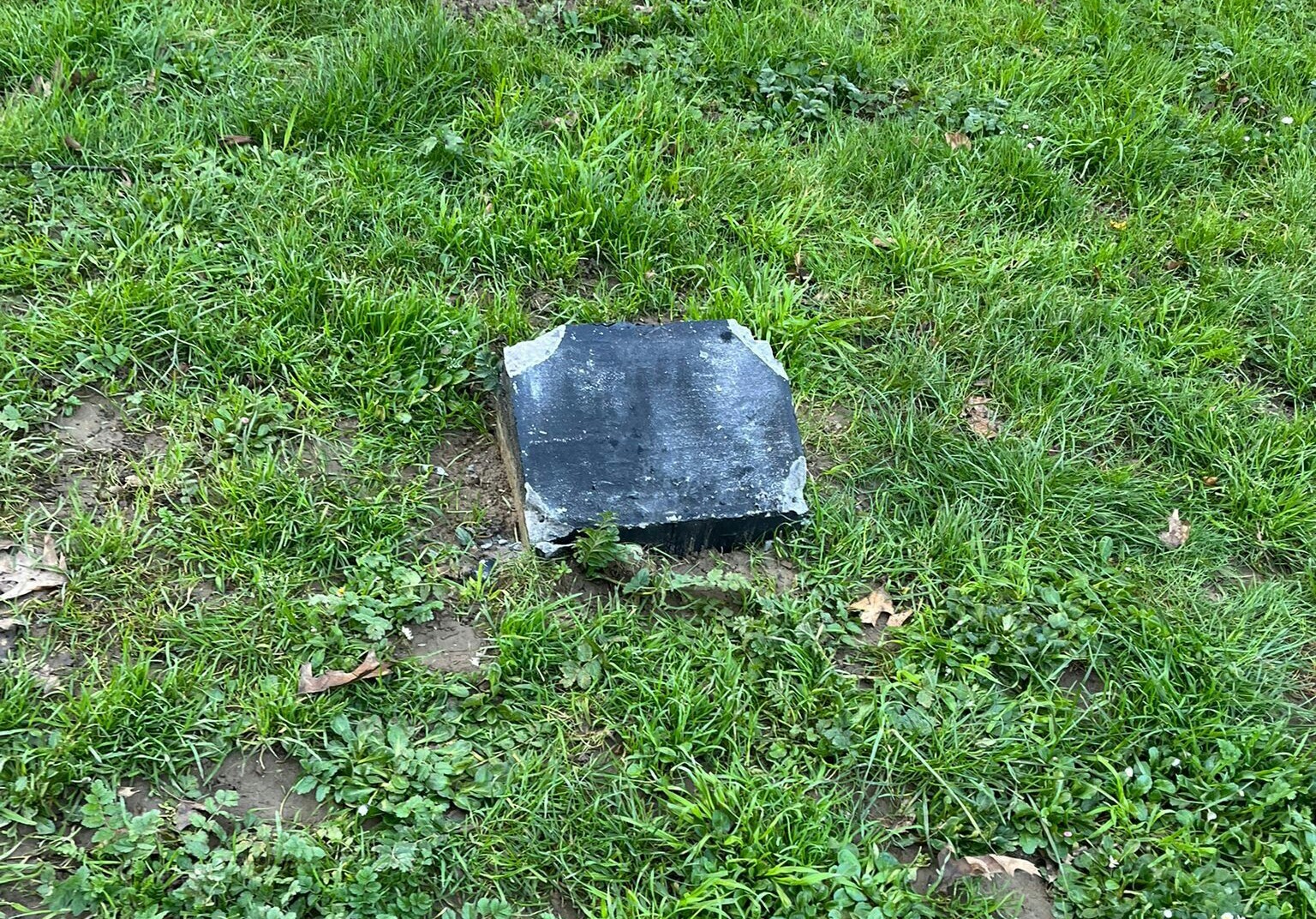 Hamar egun baino ez ditu iraun plakak, Udalak erretiratu duen arte. (NAIZ)