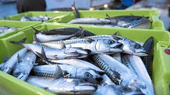 gara-2022-02-25-Noticia