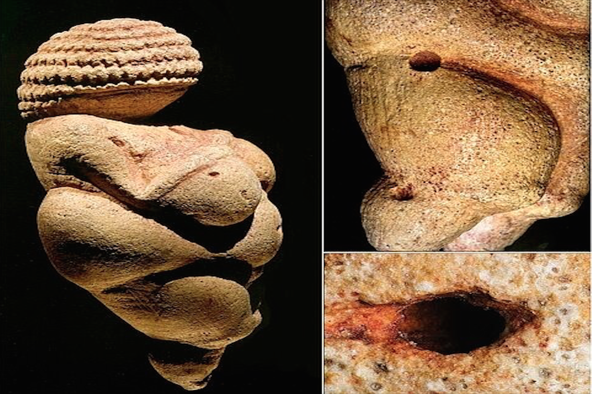 La Venus de Willendorf viajó 700 kilómetros hace 30.000 años. [Historia] Venus_ona