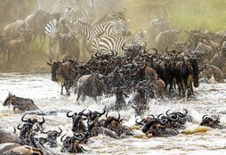 gara-2022-03-22-Noticia