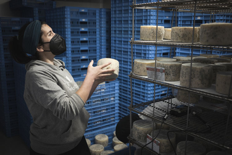 Maialen, gaztandegian.