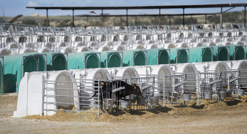 Instalaciones de Valle de Odieta en Caparroso.