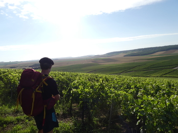 David Gracy bere osabaren pausoetan. 