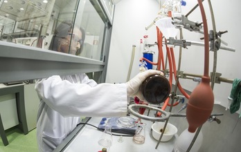 Ikerbasqueko ikerlari bat lanean, Donostiako laborategi batean.