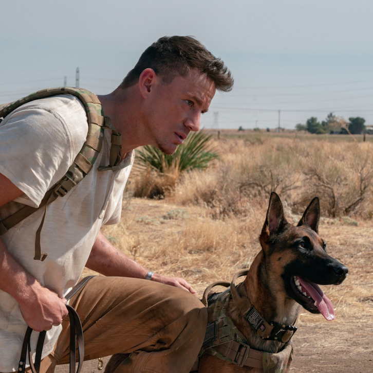 El actor Channing Tatum y el pastor belga malinois Lulu.