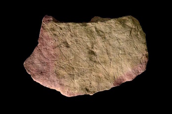 Una de las piedras con grabados prehistóricos que han analizado durante el estudio. 