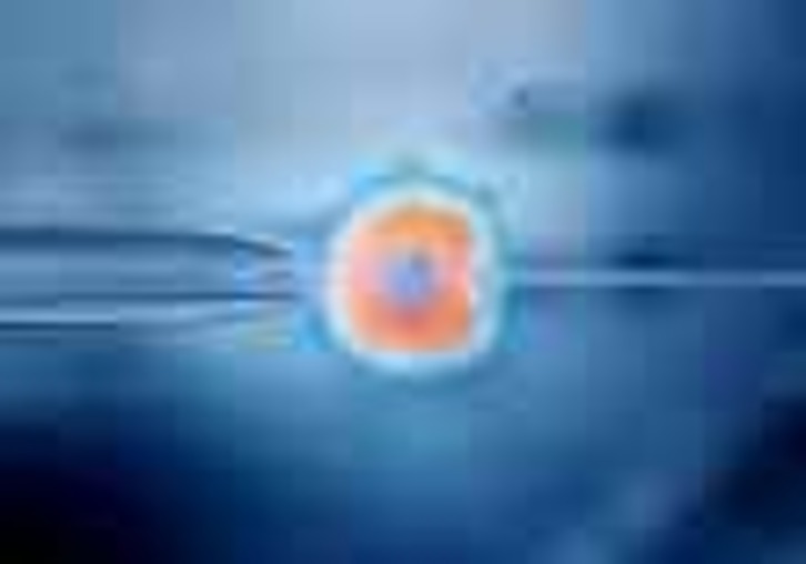 Simulación de la fecundación in vitro de un óvulo.