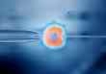 Simulación de la fecundación in vitro de un óvulo.