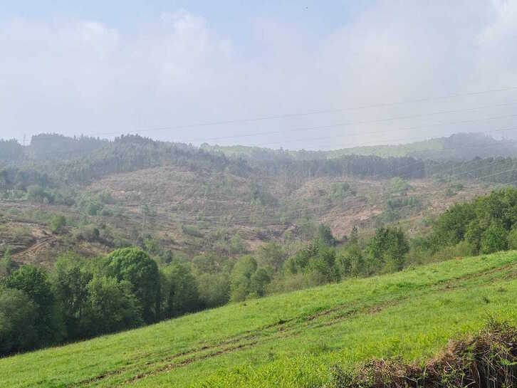 Terrenos de Lezama donde Promociones Zubiarraun 2004 pretende construir el vertedero.