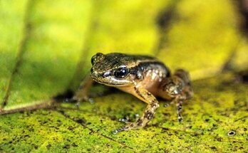 gara-2022-05-07-Reportaje