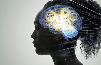 Eboluzioa eta neurozientziak hizpide izan dituzte Bilbon izandako jardunaldietan