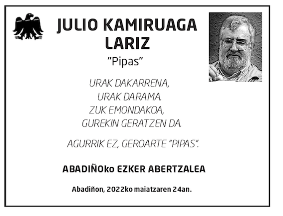 Julio-kamiruaga-lariz-2
