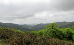 gara-2022-05-24-Reportaje