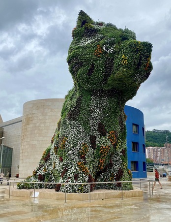 Landareek aste batzuk behar dituztenez loratzeko, Puppyri aurrerago nabarituko zaio ondoen bere itxura berria. 