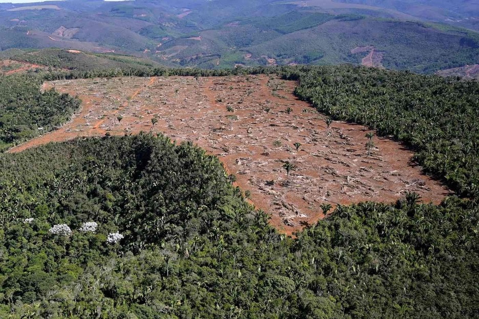 miradas_deforestacion