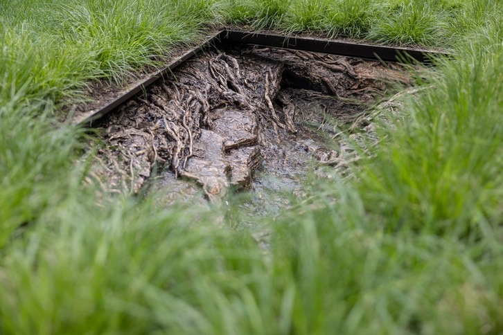«Landscape and Memory, 2022» es una instalación de Cristina Iglesias en el Madison Square Park de Nueva York.